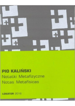 Notatki metafizyczne