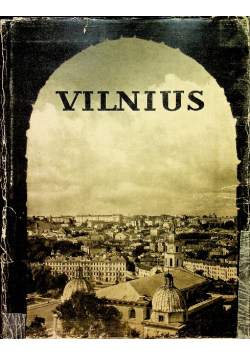 Vilnius Architektura iki XX amziaus pradzios