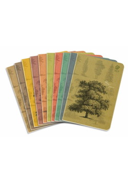 Zeszyt A5/64K kratka By Nature - Forrest (10szt)