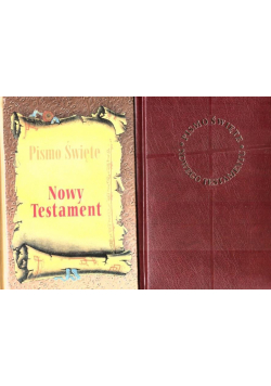 Pismo święte Nowy testament - mały MIX