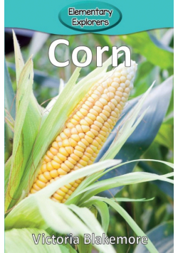 Corn