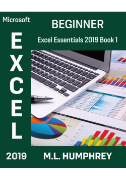 Excel 2019 Beginner