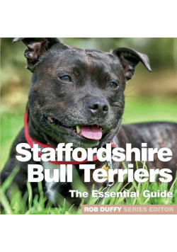 Staffordshire Bull Terriers