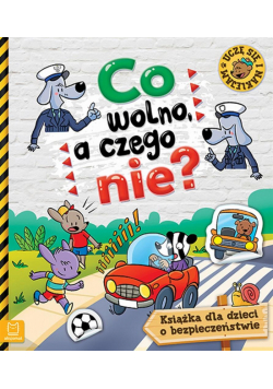 Co wolno, a czego nie. Książka o bezpieczeństwie