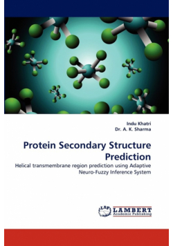 Protein Secondary Structure Prediction