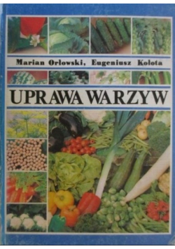 Uprawa warzyw