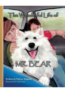 The Wonderful Life of Mr. Bear