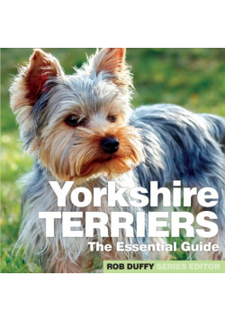 Yorkshire Terriers