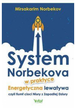 System Norbekova w praktyce