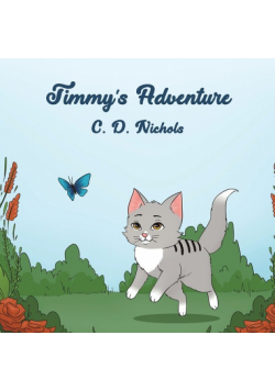 Timmy's Adventure