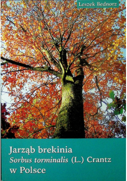 Jarząb brekinia