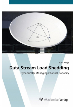 Data Stream Load Shedding