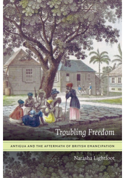 Troubling Freedom