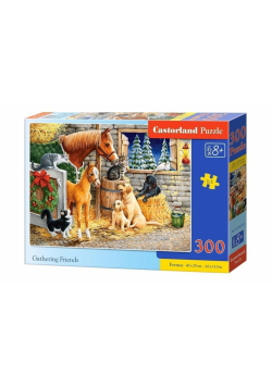 Puzzle 300 Gathering Friends CASTOR