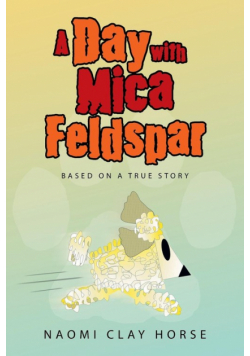 A Day with Mica Feldspar