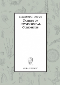 The Human Body's Cabinet of Etymological Curiosities