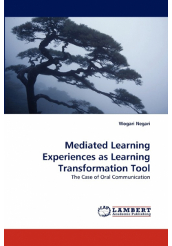 Mediated Learning Experiences as Learning Transformation Tool