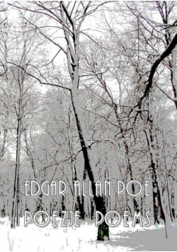 Poe Poezje Poems