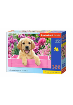Puzzle 300 Szczenię Labrador w róż. pudle CASTOR