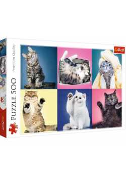 Puzzle 500 Kociaki TREFL