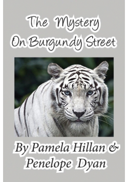 The Mystery on Burgundy Street