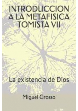 Introduccion a la metafisica tomista VII