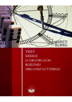 Trzy szkice o granicach rozumu organizacyjnego