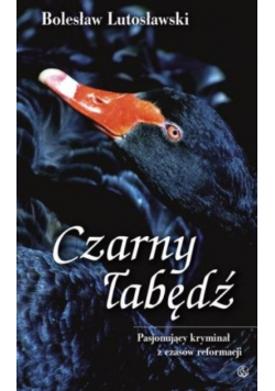 Czarny łabędź