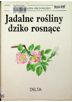 Jadalne rośliny dziko rosnące