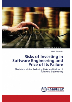 Risks of Investing in Software Engineering and Price of Its Failure