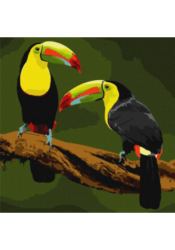 Malowanie po numerach - Ptaki egzotyczne 40x40cm
