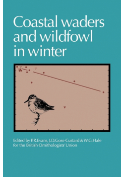 Coastal Waders and Wildfowl in Winter