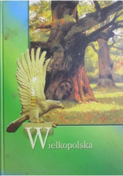 Wielkopolska zawsze w Europie