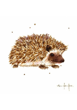 Karnet kwadrat mały z kopertą Prickly Paul