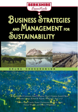 Business Strategies and Management for Sustainability
