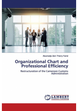 Organizational Chart and Professional Efficiency