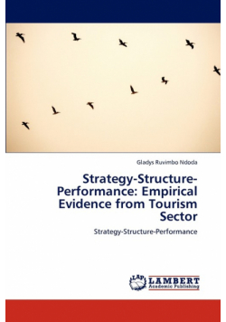 Strategy-Structure-Performance