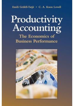 Productivity Accounting