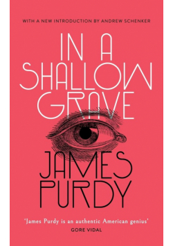 In a Shallow Grave (Valancourt 20th Century Classics)