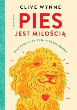 Pies jest miłością