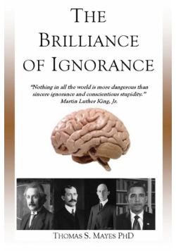 The Brilliance of Ignorance