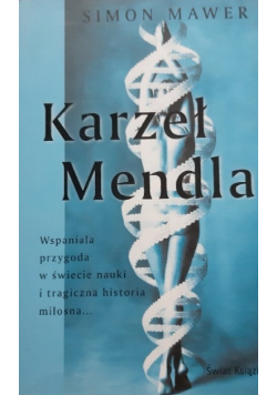 Karzeł mendla
