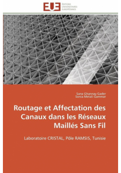 Routage et affectation des canaux dans  les réseaux maillés sans fil