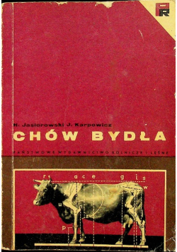 Chów bydła