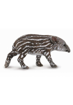 Tapir cielę bairda