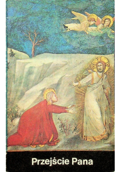 Przejście Pana