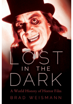 Lost in the Dark