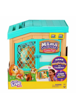 Little Live Pets. Świnka morska