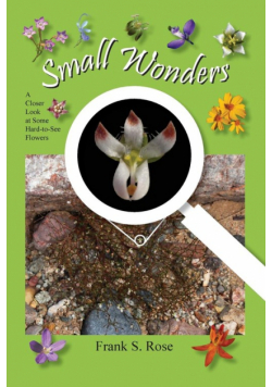 Small Wonders