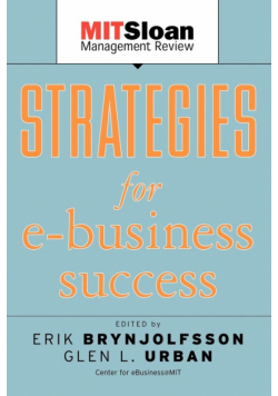 Strategies for E-Business Success